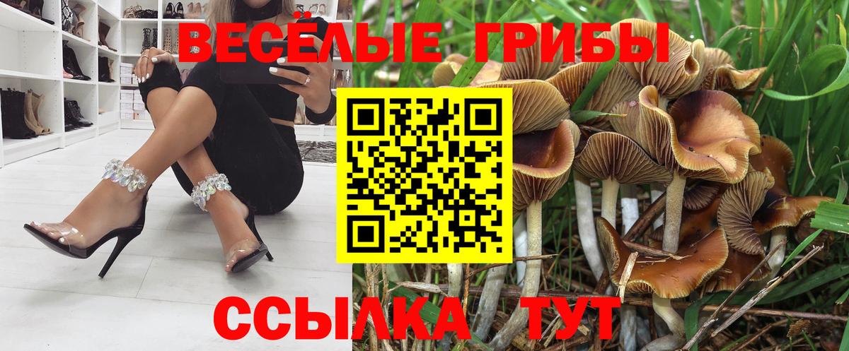 Псилоцибиновые грибы GOLDEN TEACHER  Вход с VPN  Саянск 